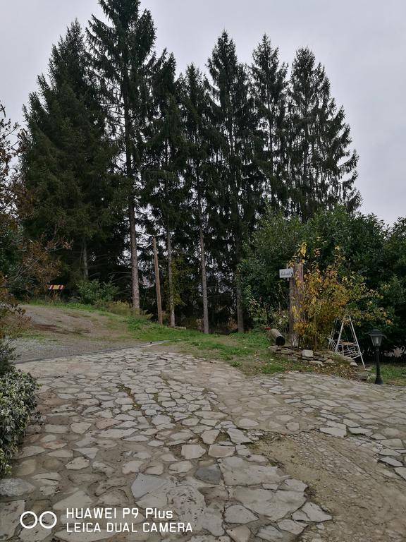 Agriturismo Davide Bossolasco Екстер'єр фото